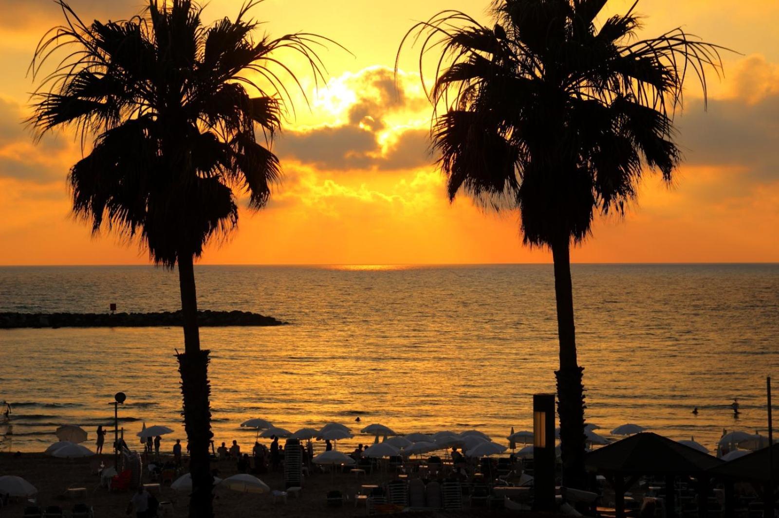 H7 Tlv Hotell Tel Aviv Exteriör bild